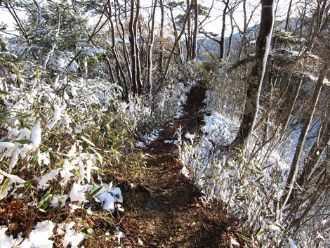 20191129hike (488)